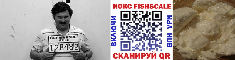 где продают   Кяхта  COCAIN Fish Scale 