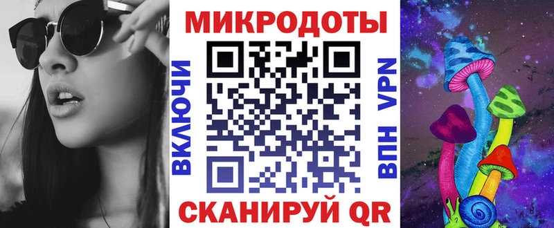 Галлюциногенные грибы Psilocybe  Кяхта 